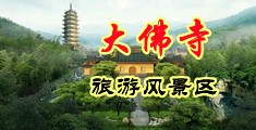 骚逼想被鸡吧插视频中国浙江-新昌大佛寺旅游风景区
